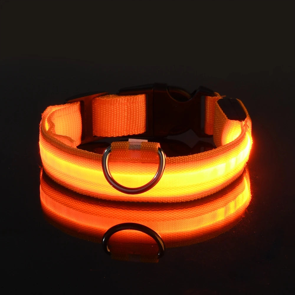 Nylon LED Night Safety Flashing Glow Pet Dog Collar