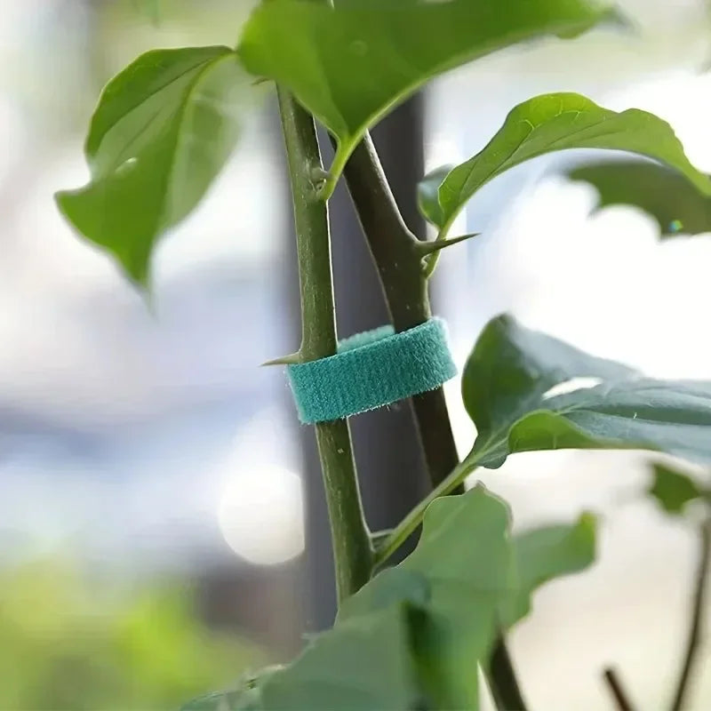 Self-Adhesive Plant Cable Tie, Adjustable Nylon Garden Tape