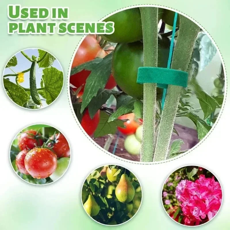 Self-Adhesive Plant Cable Tie, Adjustable Nylon Garden Tape