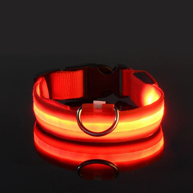 Nylon LED Night Safety Flashing Glow Pet Dog Collar