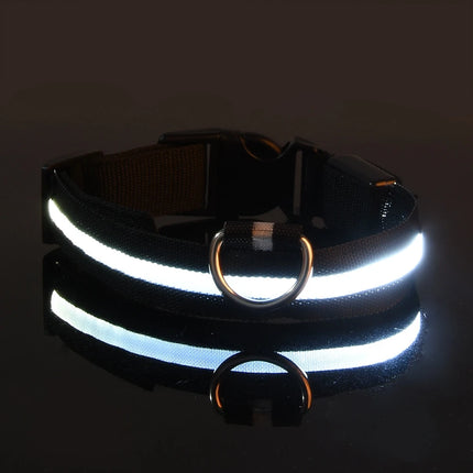 Nylon LED Night Safety Flashing Glow Pet Dog Collar