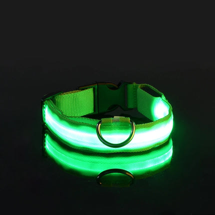 Nylon LED Night Safety Flashing Glow Pet Dog Collar