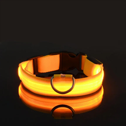 Nylon LED Night Safety Flashing Glow Pet Dog Collar