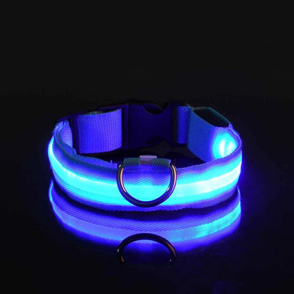 Nylon LED Night Safety Flashing Glow Pet Dog Collar