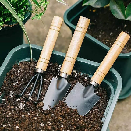 3Pcs Mini Garden Tool Set for Indoor Plants & Pots