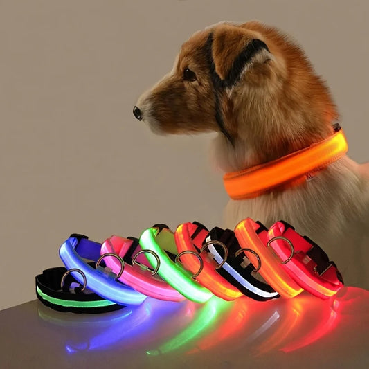 Nylon LED Night Safety Flashing Glow Pet Dog Collar