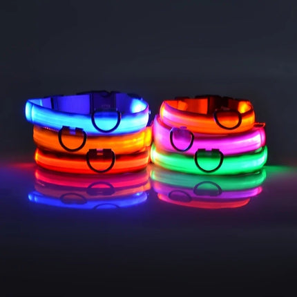 Nylon LED Night Safety Flashing Glow Pet Dog Collar